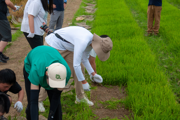 社会实践 | 安徽泾县实践团队在劳动中扎根，于实践中成长
