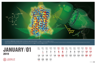 上科大2019年电子日历（2019年1月）